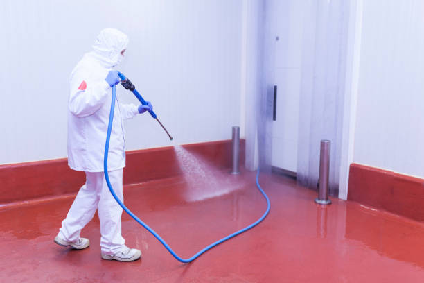 Best Solar Panel Cleaning  in Church Hill, MD